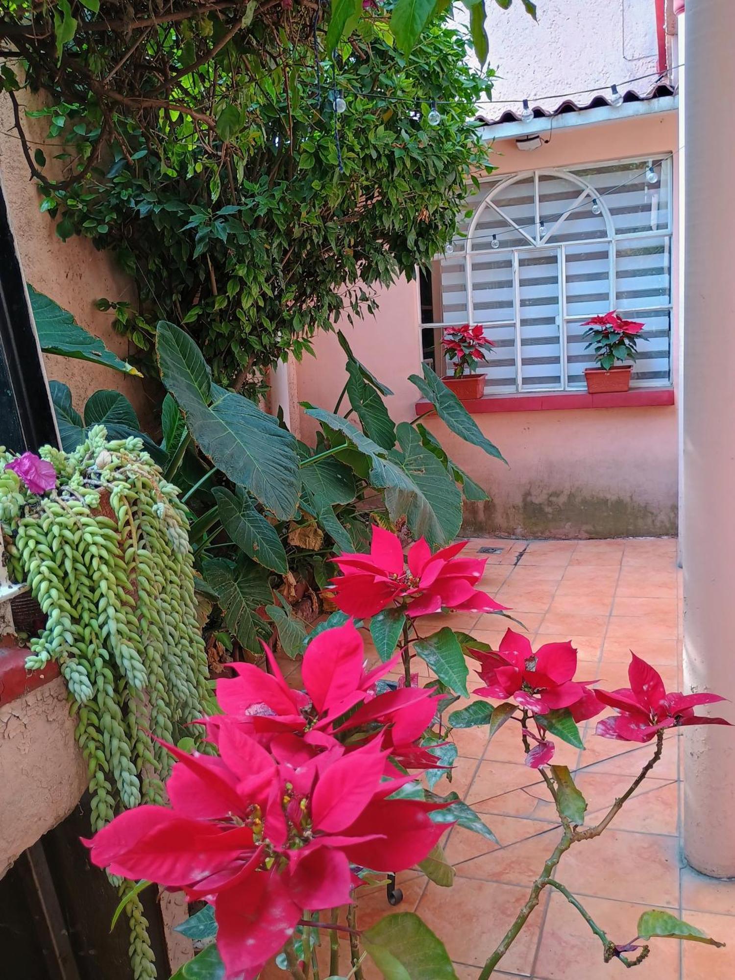 Appartamento Relax Città del Messico Esterno foto